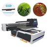 Ultimate Solution for Versatile, High-Quality Printing KAIOU 6090 Inkjet Printing Machine